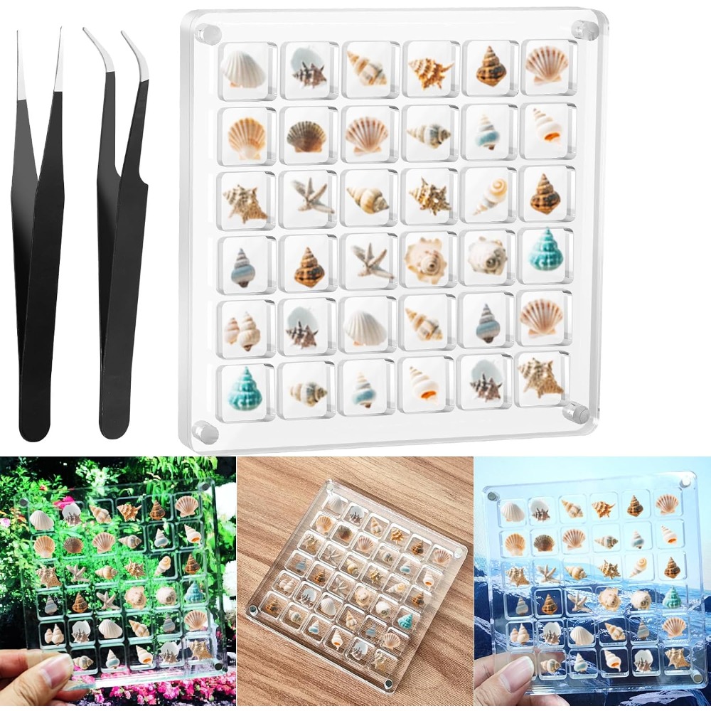 Clear Acrylic Magnetic Seashel - Display Case Acrylic incelemesi ve fiyatı