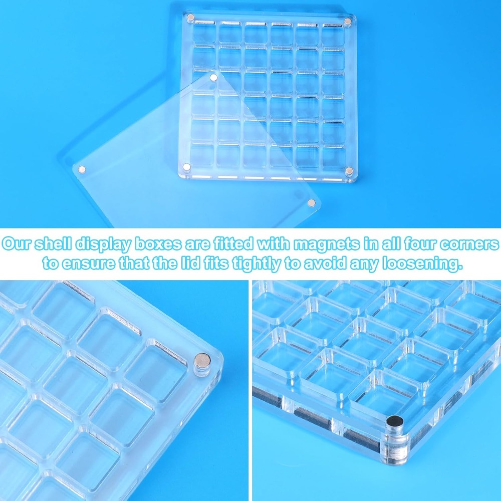 Clear Acrylic Magnetic Seashel - Display Case Acrylic incelemesi ve fiyatı